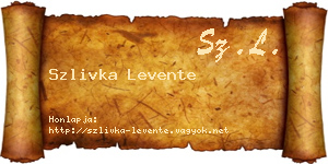 Szlivka Levente névjegykártya
